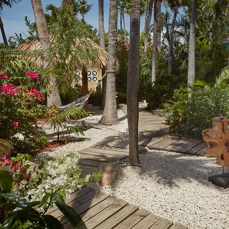 Paradera Park Aruba Oranjestad Zewnętrze zdjęcie