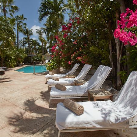 Paradera Park Aruba Oranjestad Zewnętrze zdjęcie