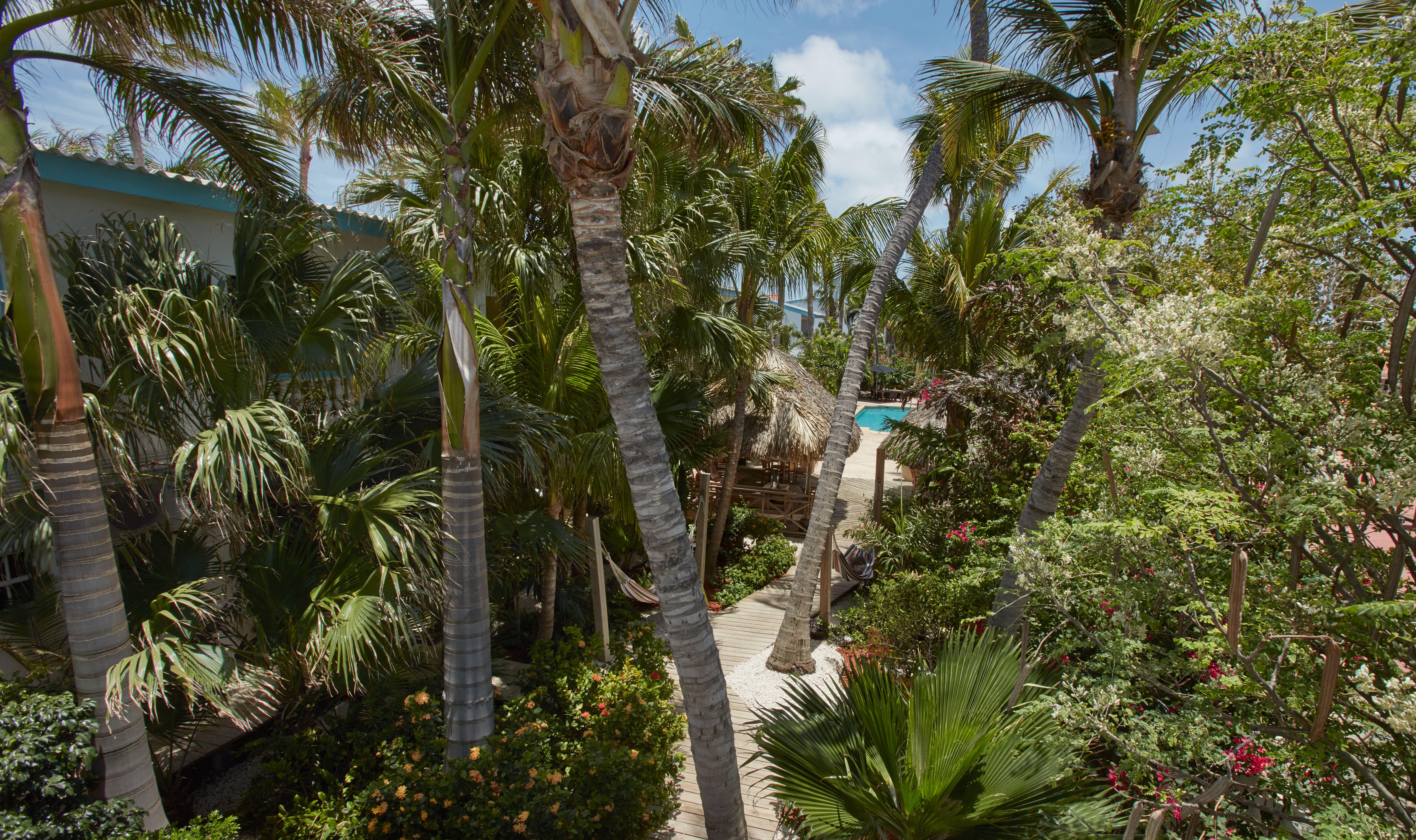 Paradera Park Aruba Oranjestad Zewnętrze zdjęcie